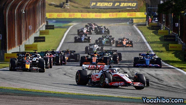 罗斯布朗:巴西会继续举办 冲刺赛的赛道选择很重要