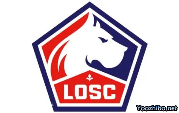 里尔2023-24赛季十大进球精彩回顾