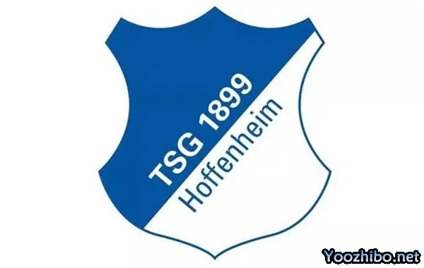 霍芬海姆2023-24赛季十大经典比赛:热血与荣耀的征程