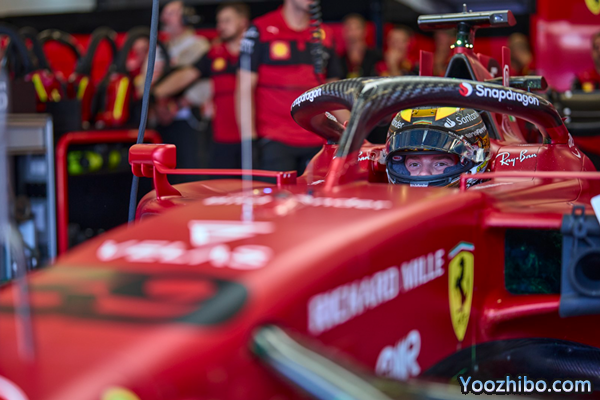 施瓦茨曼:F1的梦想可能越来越远,我很难过